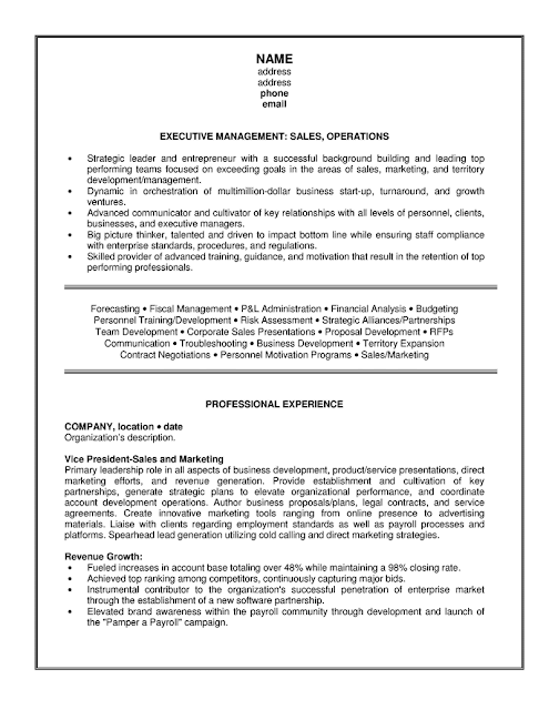 Online campaign manager resume